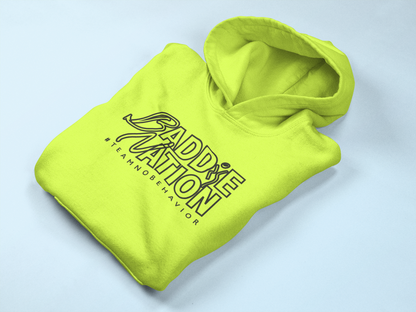Baddie Nation Hoodies (Various Colors)